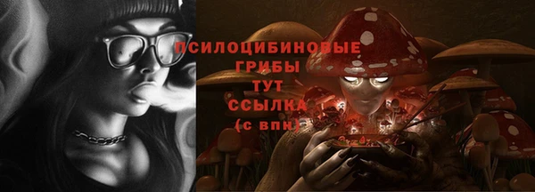 a pvp Дегтярск