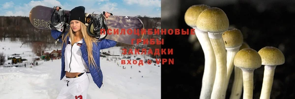 гидра Киренск