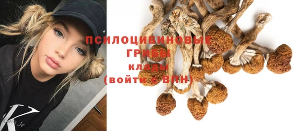 ALPHA PVP Касимов